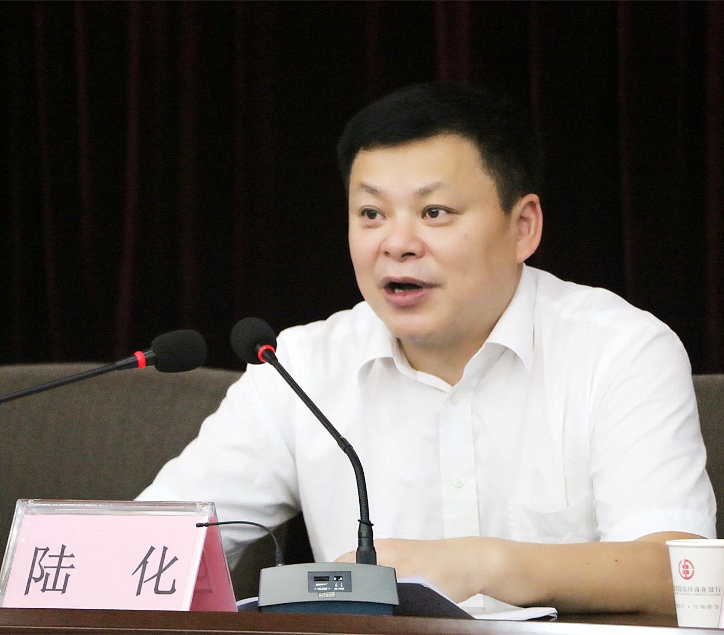 党委书记,董事长陆化殷切寄语全行青年共青团常德市委副书记徐桢发言