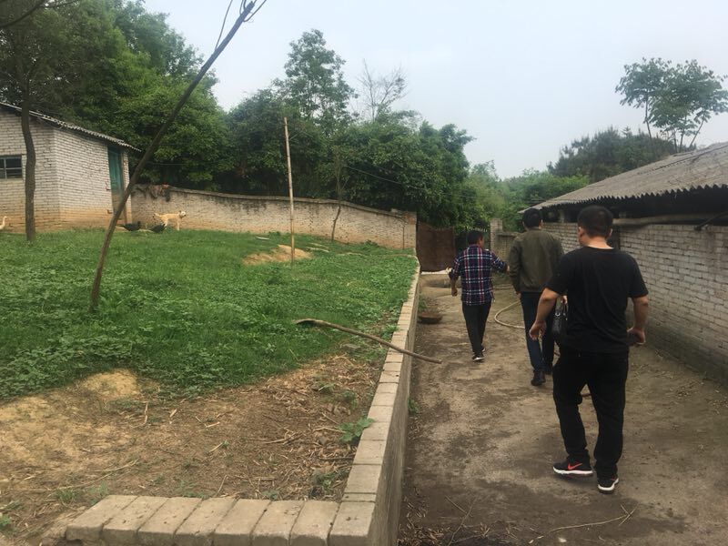 白衣支行走访辖内专业合作社